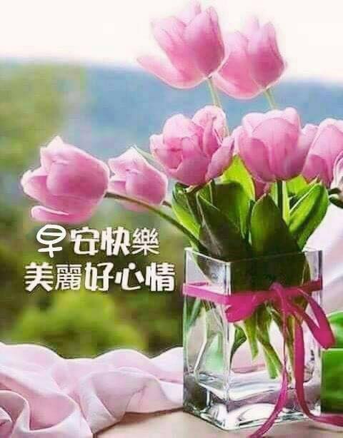 早安圖下載